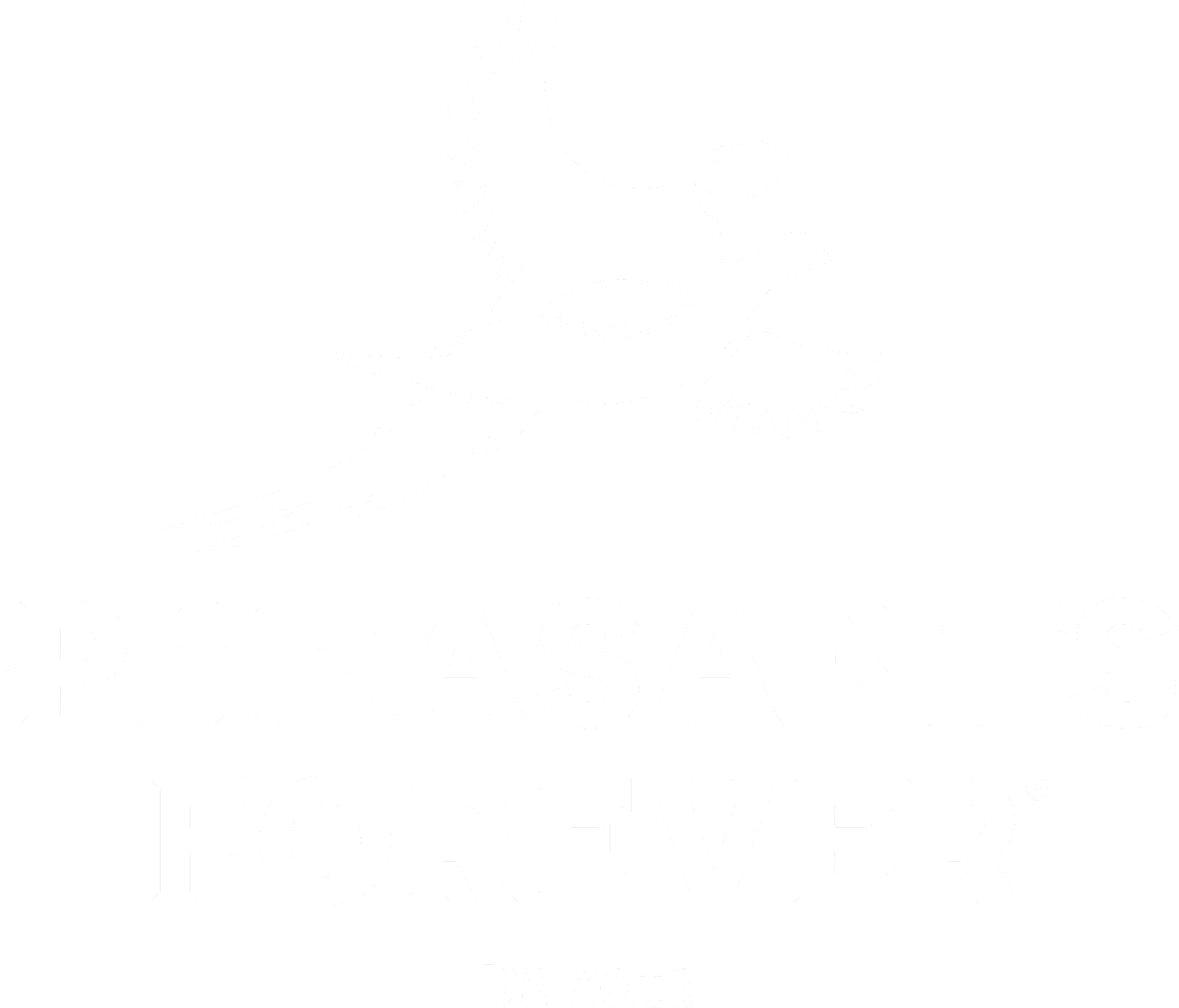 dpf-white-transparent-logo